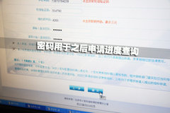 2010款 8.0T DSG 百年纪念版