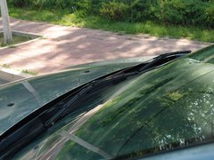 2011款 两厢 2.0L 自动 运动型