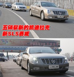 2010款 3.6 自动 旗舰型
