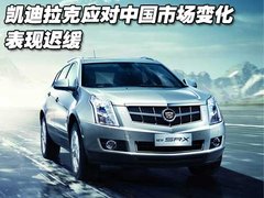 2010款 3.6 自动 旗舰型