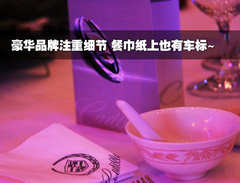 2010款 3.6 自动 旗舰型