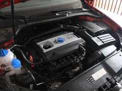 2010款 GTI 2.0TSI DSG 