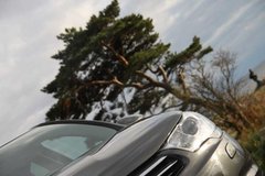 2009款 1.6T 自动 豪华版