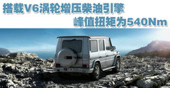2010款 G500 5.5L 5座