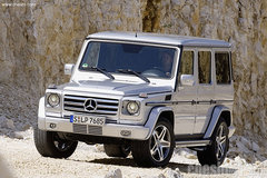 2010款 G500 5.5L 5座