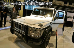 2010款 G500 5.5L 5座