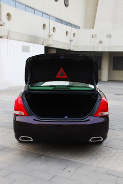 2010款 3.0L AT V6 Royal Saloon 尊享版