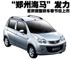 2010款 1.0 手动 豪华型