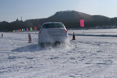 2010款 2.0L 自动 三厢尊贵型