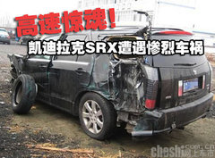 2010款 3.6L 限量豪华版