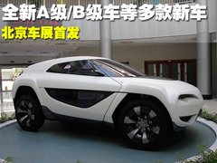 2010款 1.0L 手动 标准型