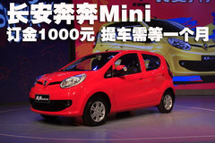 2010款 1.0L 手动 标准型