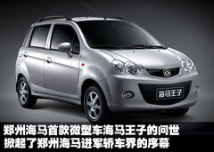 2010款 1.0L 手动 标准型