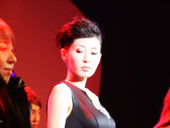 2010款 1.5L 自动 易智版