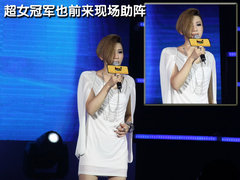 2010款 1.5L 自动 易智版