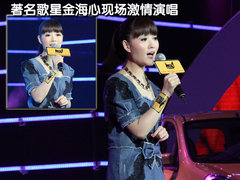 2010款 1.5L 自动 易智版