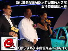 2010款 1.5L 自动 易智版