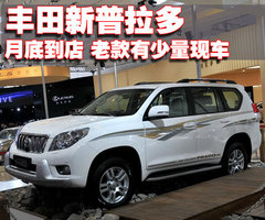 2010款 4.0L AT TX 7座