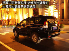 2010款 4.0L AT TX 7座