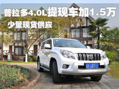 2010款 4.0L AT TX 7座