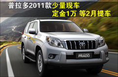 2010款 4.0L AT TX 7座