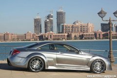 2008款 CL600 5.5T 