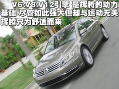 大眾(進口) 新輝騰