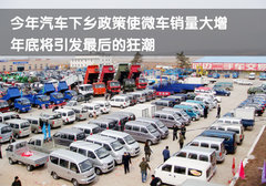2011款 1.3 手动 基本型(柳机引擎)