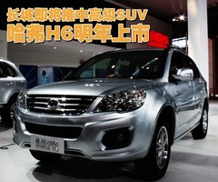 2011款 2.0T 手动 柴油两驱精英型 5座
