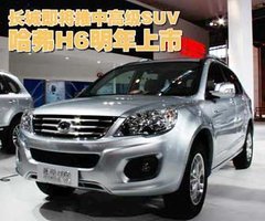 2011款 2.0T 手动 柴油两驱精英型 5座