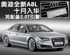 2011款 3.0TFSI Low quattro 舒适型