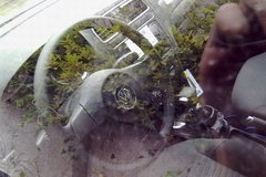 2011款 1.6L 自动 致酷版