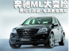 2008款 ML350 3.5L 4MATIC动感型