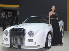 2010款 3.3L 自动 豪华型
