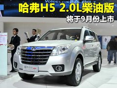 2010款 绿静 2.0T 自动 四驱 超豪华