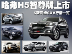 2010款 绿静 2.0T 自动 四驱 超豪华
