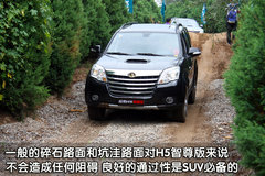 2010款 绿静 2.0T 自动 四驱 超豪华