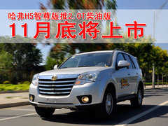 2010款 绿静 2.0T 自动 四驱 超豪华