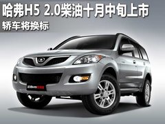 2010款 绿静 2.0T 自动 四驱 超豪华