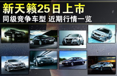 2011款 1.4TSI DSG 标准型