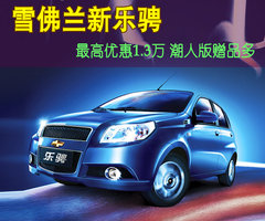 2010款 1.6L 自动 炫动版（劲黑内饰）