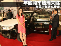 2010款 1.5 手动 新白金版豪华型