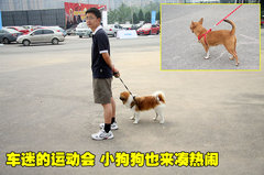 2010款 2.0 自动 经典款运动型