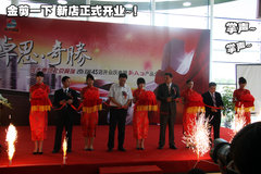 2010款 2.0L 自动 三厢尊贵型