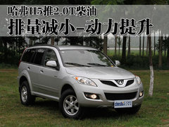 2010款 绿静 2.0T 自动 四驱 超豪华