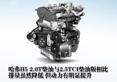 2010款 绿静 2.0T 自动 四驱 超豪华