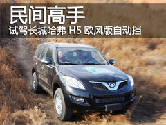 2010款 绿静 2.0T 自动 四驱 超豪华