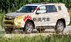 2006款 4.0L AT VX