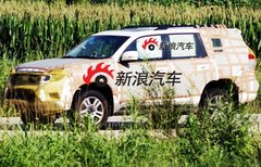 2006款 4.0L AT VX