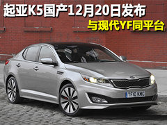 2011款 2.4L 自动 Premium